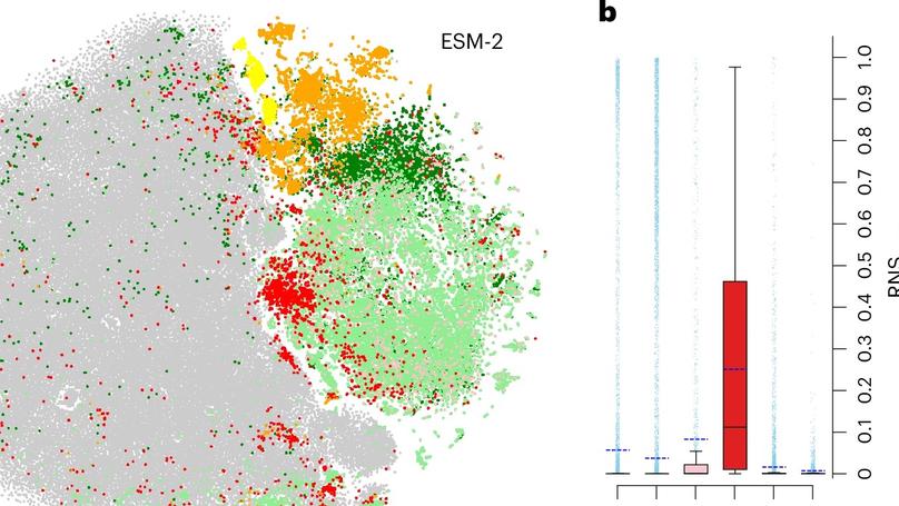 Accuracy test for protein language models shines light into AI ‘black box’