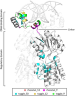 New publication by Maximillian Miller and others
