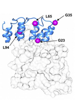 New publication by Yana Bromberg