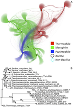 New Publication by Chengsheng Zhu and others